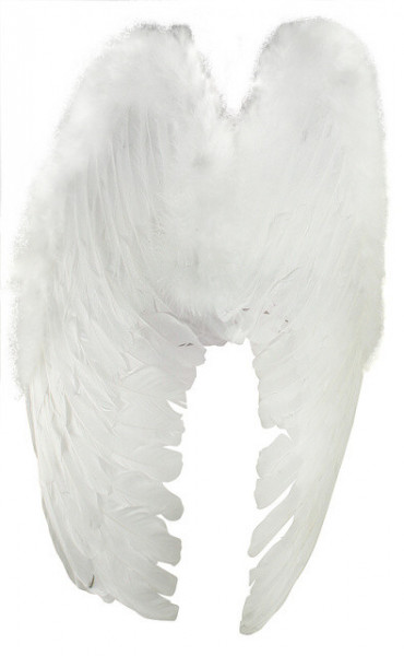 Křídla andělská menší z peří 50 cm