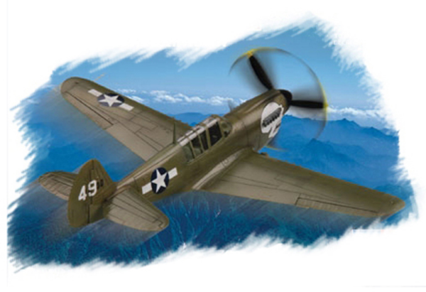 Hobby Boss 80252  P-40N Warhawk 1:72
