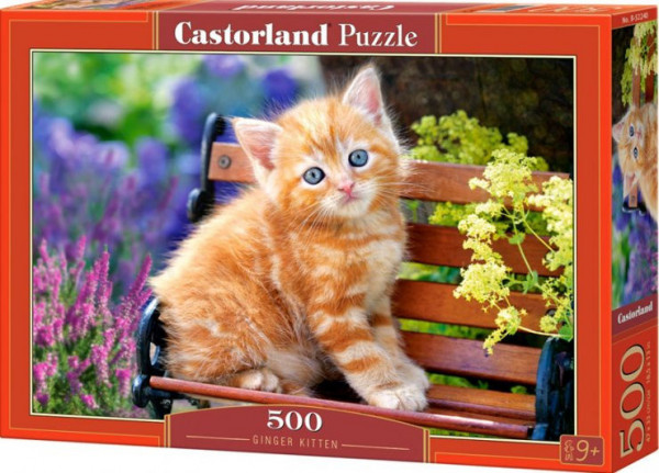 Castorland 52240 Puzzle 500 dílků - Kotě na lavičce