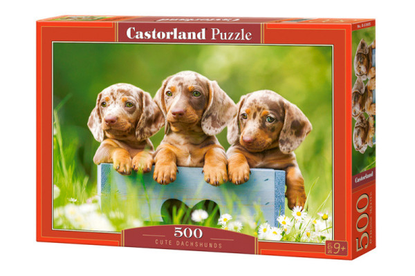 Castorland 53605 puzzle Roztomilí jezevčíci 500 dílků