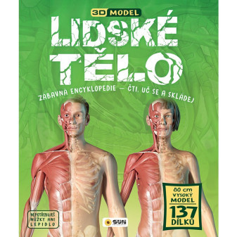 Lidské tělo - 3D model - Zábavná encyklopedie - čti! uč se! a skládej!