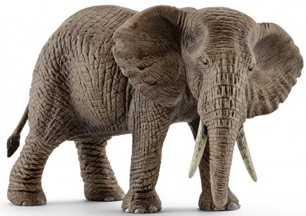 Schleich 14761 samice slona afrického