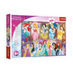 Trefl Puzzle Portréty princezen Disney 41x27,5cm 160 dílků