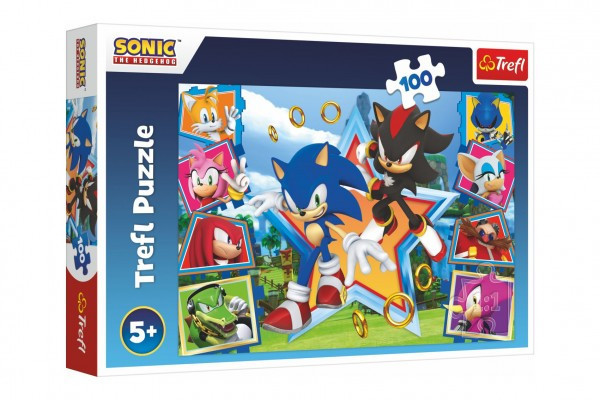 Trefl Puzzle Seznamte se se Sonicem Sonic the Hedgehog 100 dílků