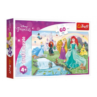 Trefl Puzzle Poznejte princezny 33x22cm 60 dílků v krabičce 21x14x4cm