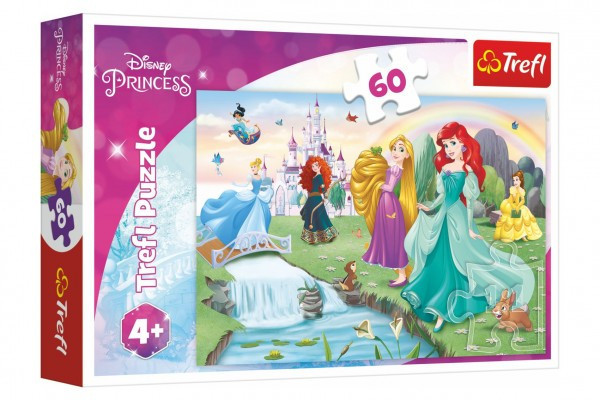 Trefl Puzzle Poznejte princezny 33x22cm 60 dílků v krabičce 21x14x4cm