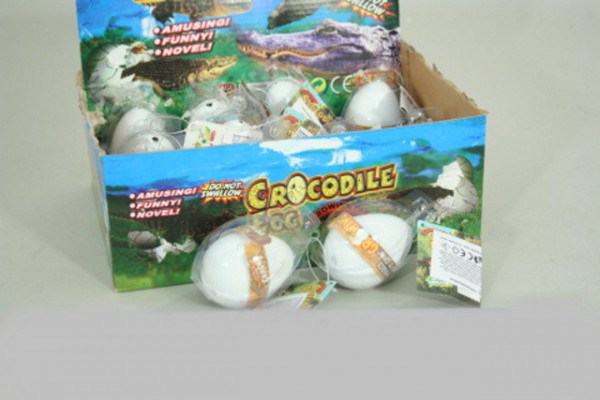 Krokodýlí vejce líhnoucí a rostoucí